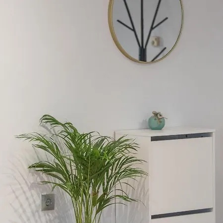 Myrtilo Apartment Ambelokipoi (Zakynthos)